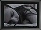 Photo exhibition 15/74, Timisoara, 20 April 2010, 11:00 GMT. Live Panoramas by Dorin Godja. Photo exhibition 15/74, Timisoara, 20 April 2010, 11:00 GMT. Live Panoramas by Dorin Godja.