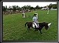 MORISENA CUP - II, Sannicolau Mare, Timis County, 24 July 2010, 08:45 GMT. Live Panoramas by Dorin Godja.