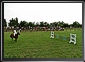 MORISENA CUP, Sannicolau Mare, Timis County, 24 July 2010, 08:00 GMT. Live Panoramas by Dorin Godja.