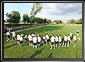 Poli Timisoara - Myllykosken Pallo-47, day I, Timisoara, 04 Aug 2010, 15:30 GMT. Live Panoramas by Dorin Godja.
