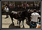 HORSE TRAM, Timisoara, 12 June 2010, 10:49 GMT. Live Panoramas by Dorin Godja.